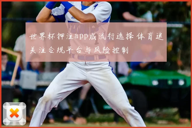 世界杯押注app成流行选择 体育迷关注合规平台与风险控制