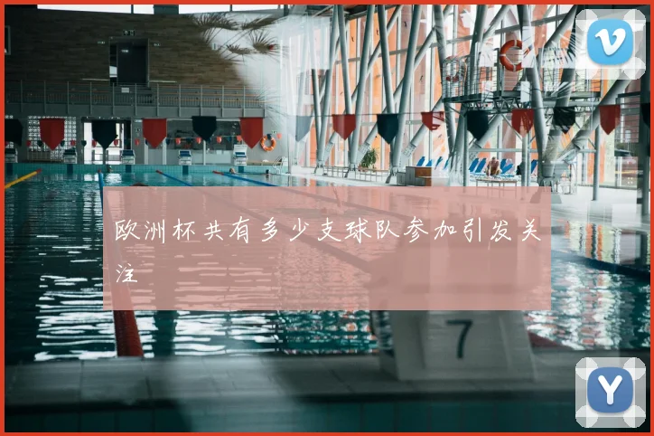 欧洲杯共有多少支球队参加引发关注