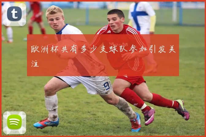 欧洲杯共有多少支球队参加引发关注