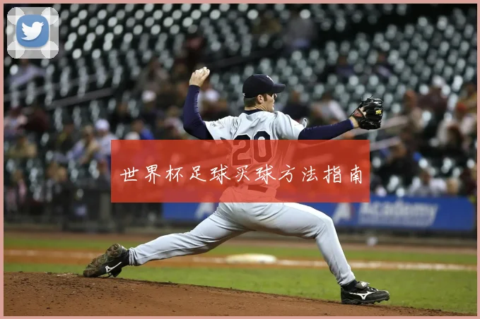 世界杯足球买球方法指南