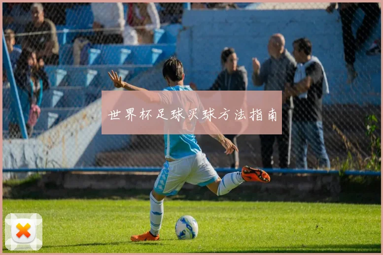 世界杯足球买球方法指南